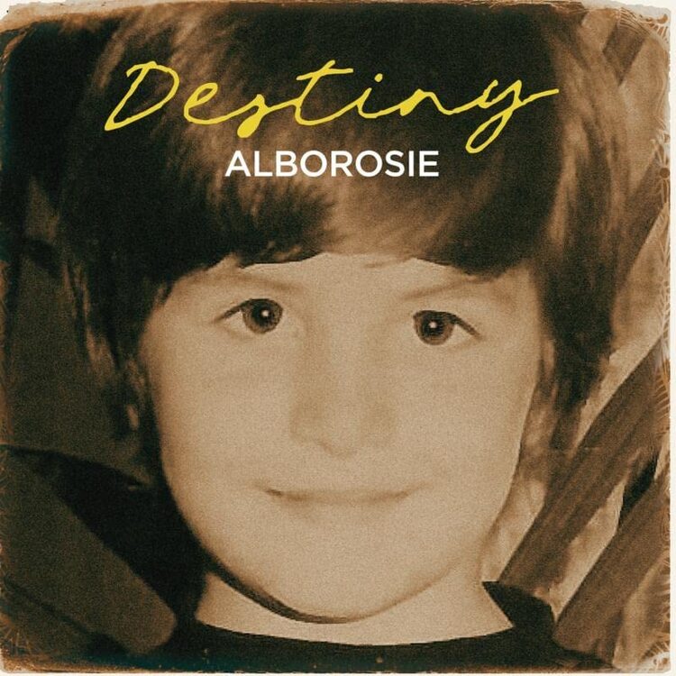 Alborosie Destiny Vinyl LP Record | Reggae Music Album for Collectors & Fans | Perfect for Home Listening & Gifting