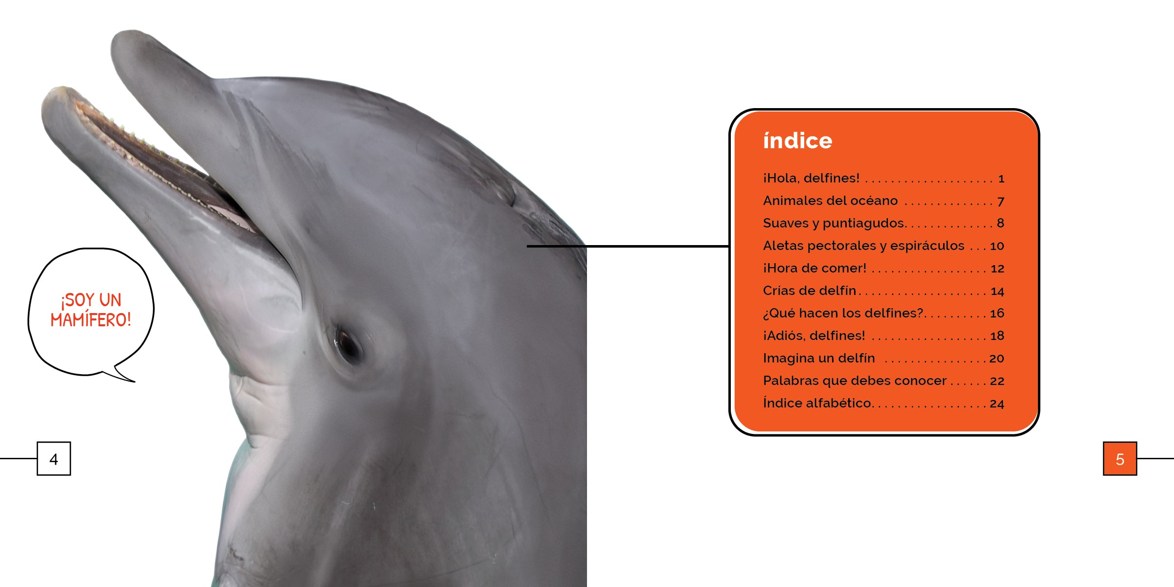 Dolphin-Themed Gifts & Decor - Perfect for Ocean Lovers, Kids' Rooms & Beach House Decorations