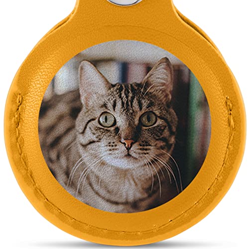 03- Photo in Circle on Yellow