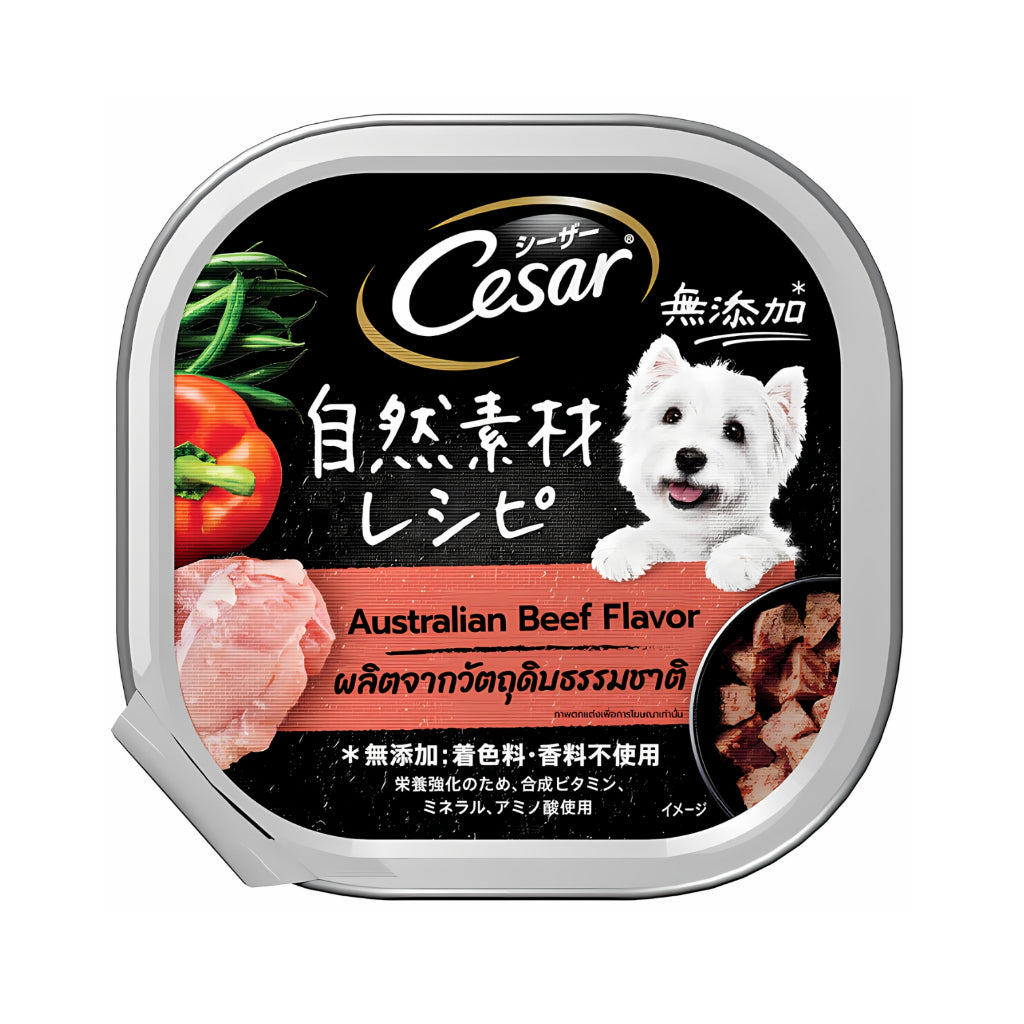 Premium Cesar Dog Food Trays - 85g & 100g Wet Food Variety Pack (Beef, Lamb, Chicken, Roast Turkey & Vegetable, Chicken & Cheese) - Delicious Meals for Small & Medium Dogs - Perfect for Travel, Training Rewards & Special Treats