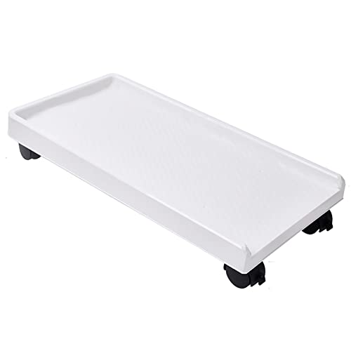 White B