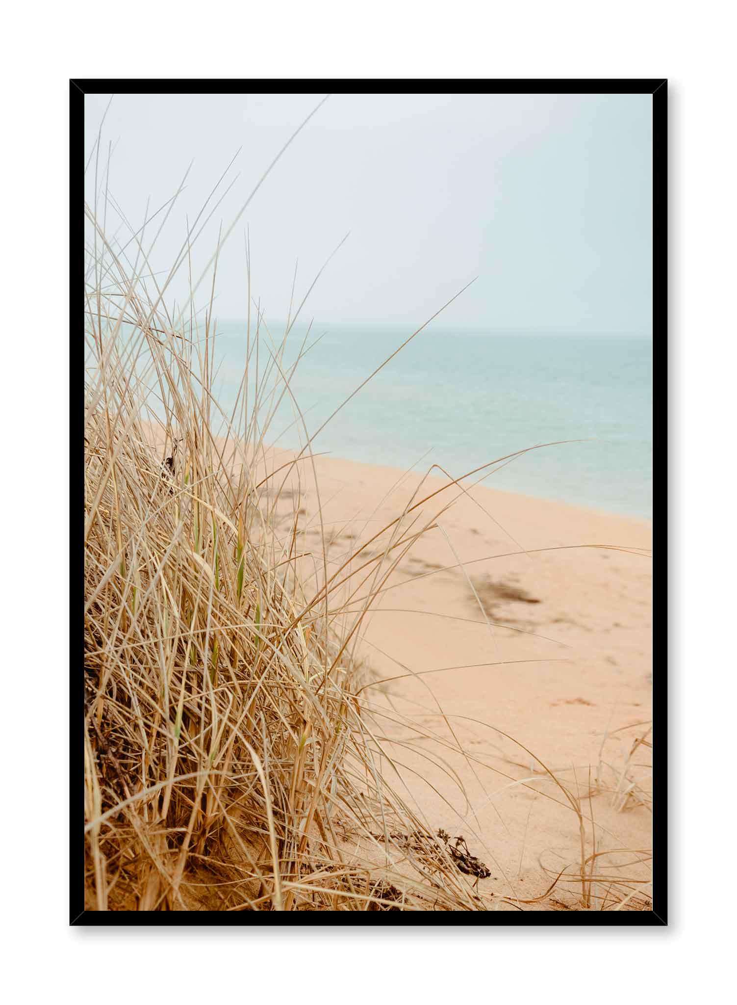 Sandy Grass Nature Poster - High-Quality Wall Art Print for Home & Office Decor - Perfect for Living Room, Bedroom, or Workspace