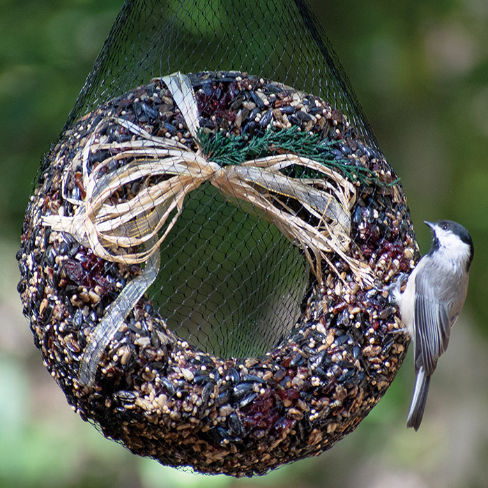 Premium Gourmet Pecan Bird Seed Wreath - All-Natural Wild Bird Food for Cardinals, Blue Jays & Woodpeckers - Perfect for Backyard Bird Feeding & Winter Wildlife Attraction