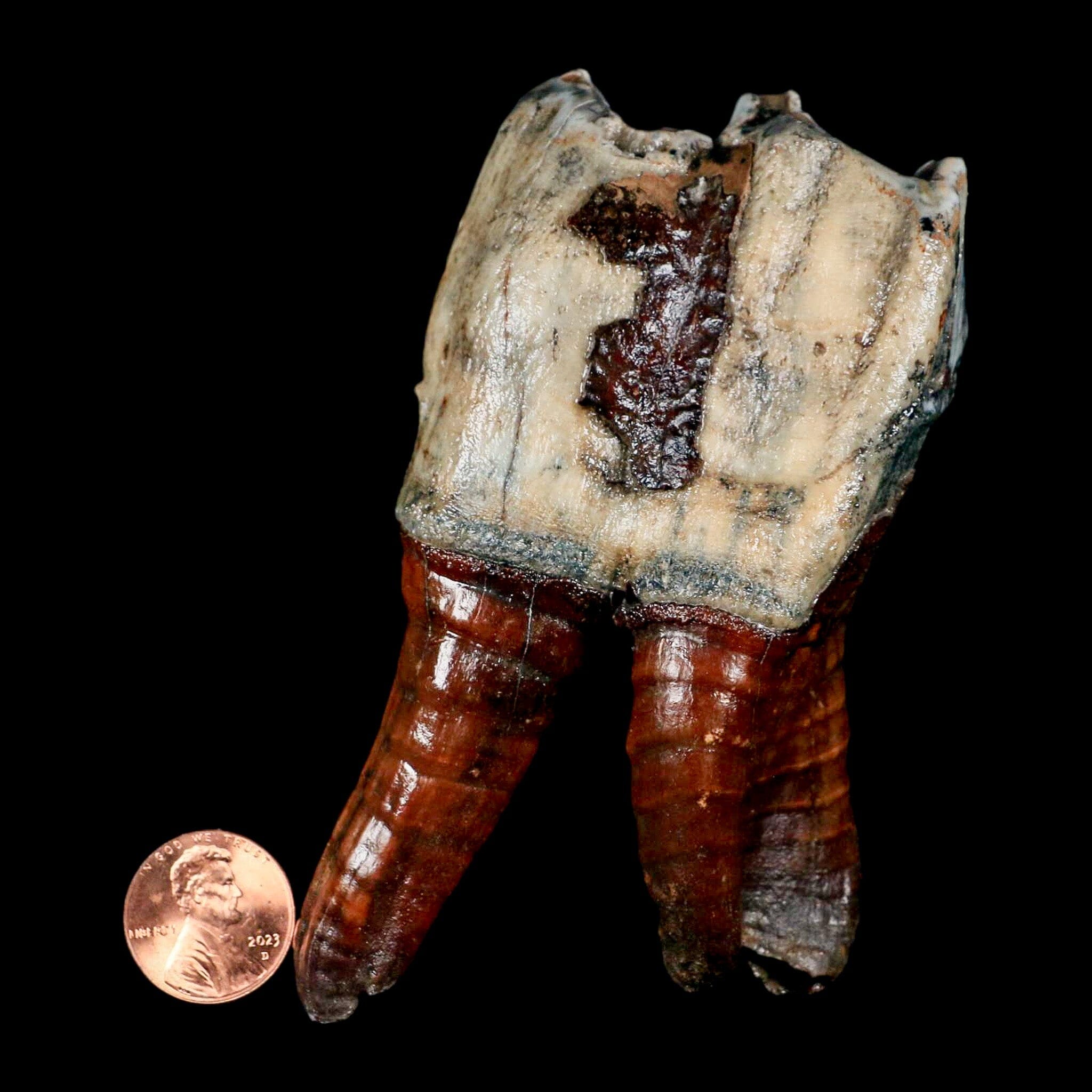 4.3