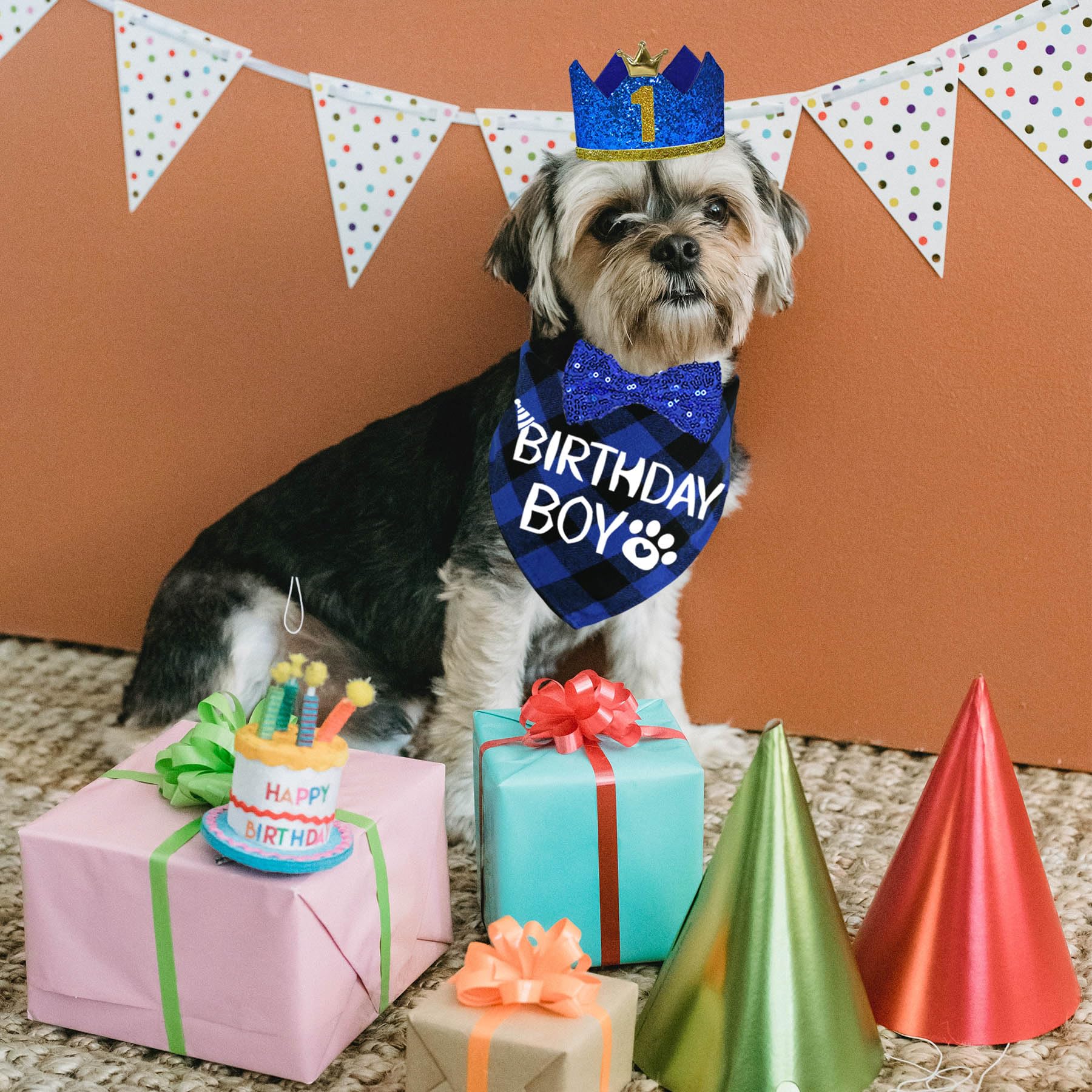 Dog Birthday Hat & Bandana Set for Small Dogs - Blue, Small - Perfect for Pet Parties