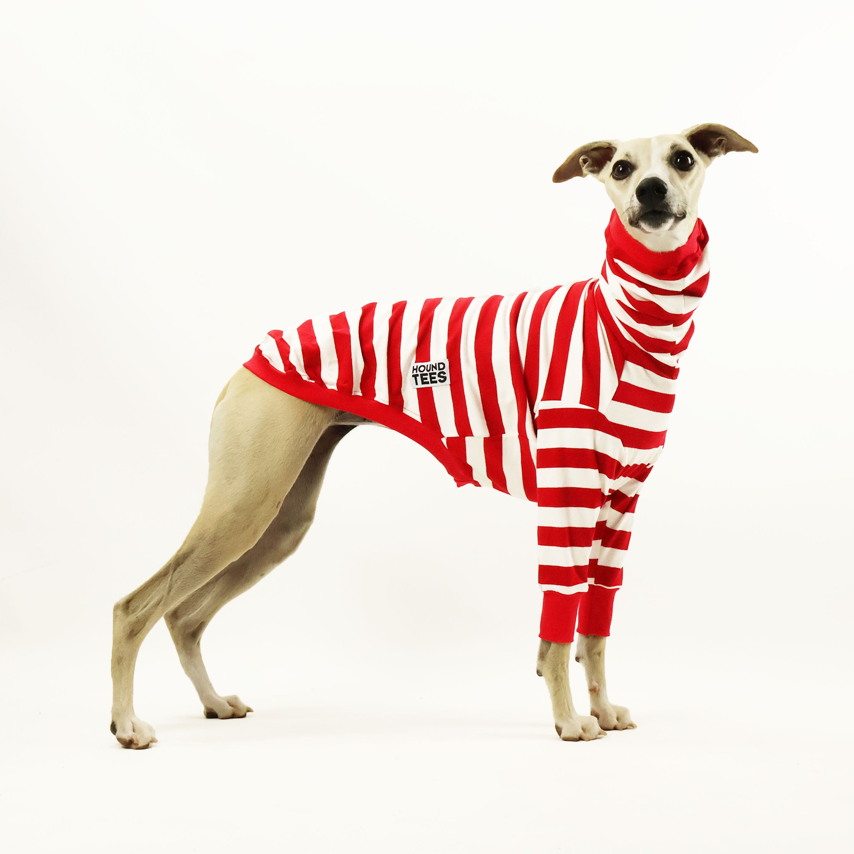 Wally Whippet Long Sleeve Hound T-Shirt for Men & Women - Comfortable Cotton Dog Lover Apparel for Casual Wear & Outdoor Activities