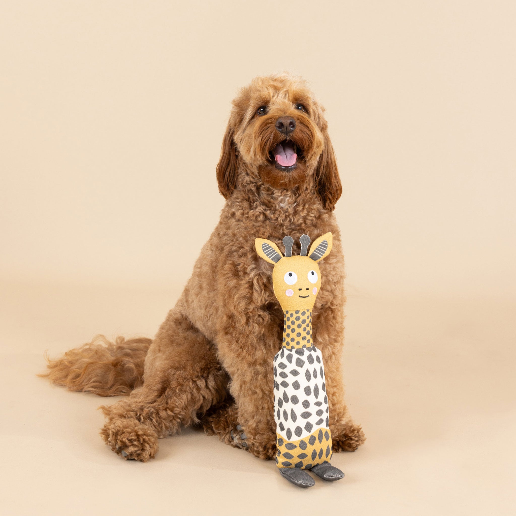 Fringe Canvas Squeaker Toy for Dogs - Giraffe Chew Toy for Puppies & Adult Dogs - Perfect for Playtime, Training & Teething Relief