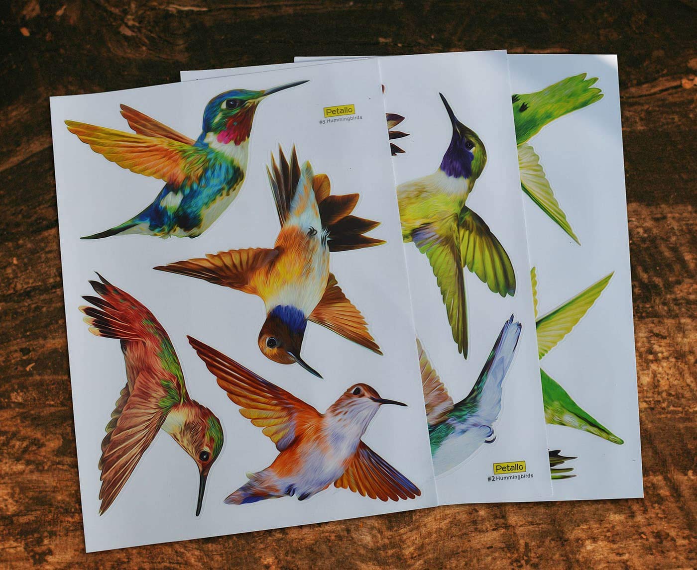 12-Pack Anti-Collision Window Decals - Hummingbird Stickers to Prevent Bird Strikes on Glass Windows | UV-Resistant & Weatherproof for Home, Office, and Garden Use