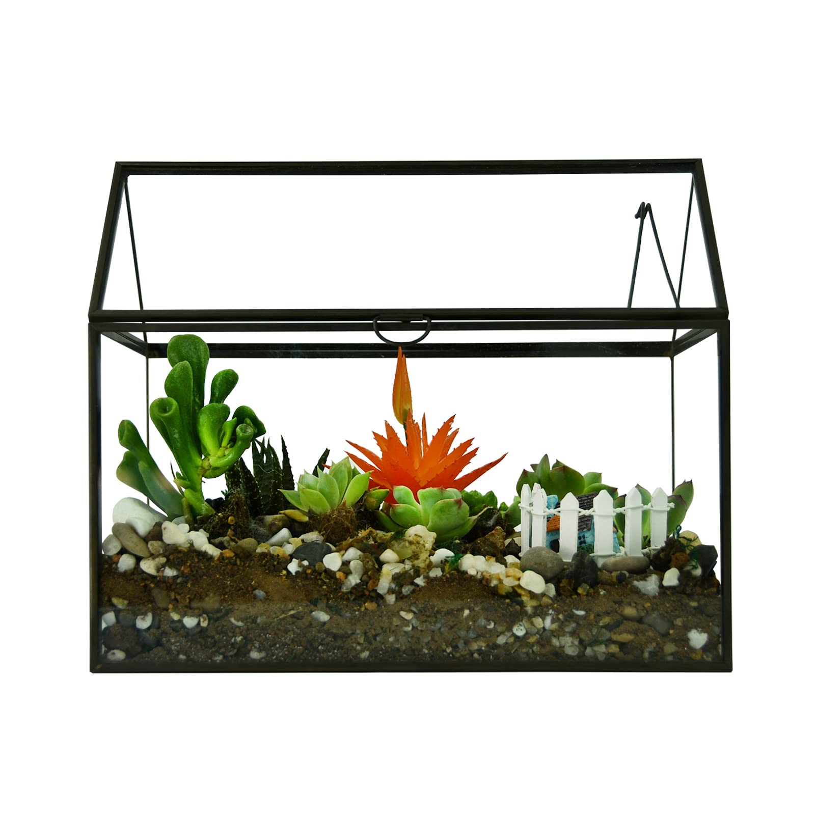 Large Glass Plant Terrarium Kit for Succulents - Black House Greenhouse Terrarium with Lip | Perfect for Indoor Plants, Home Decor & Office Desk Decorations