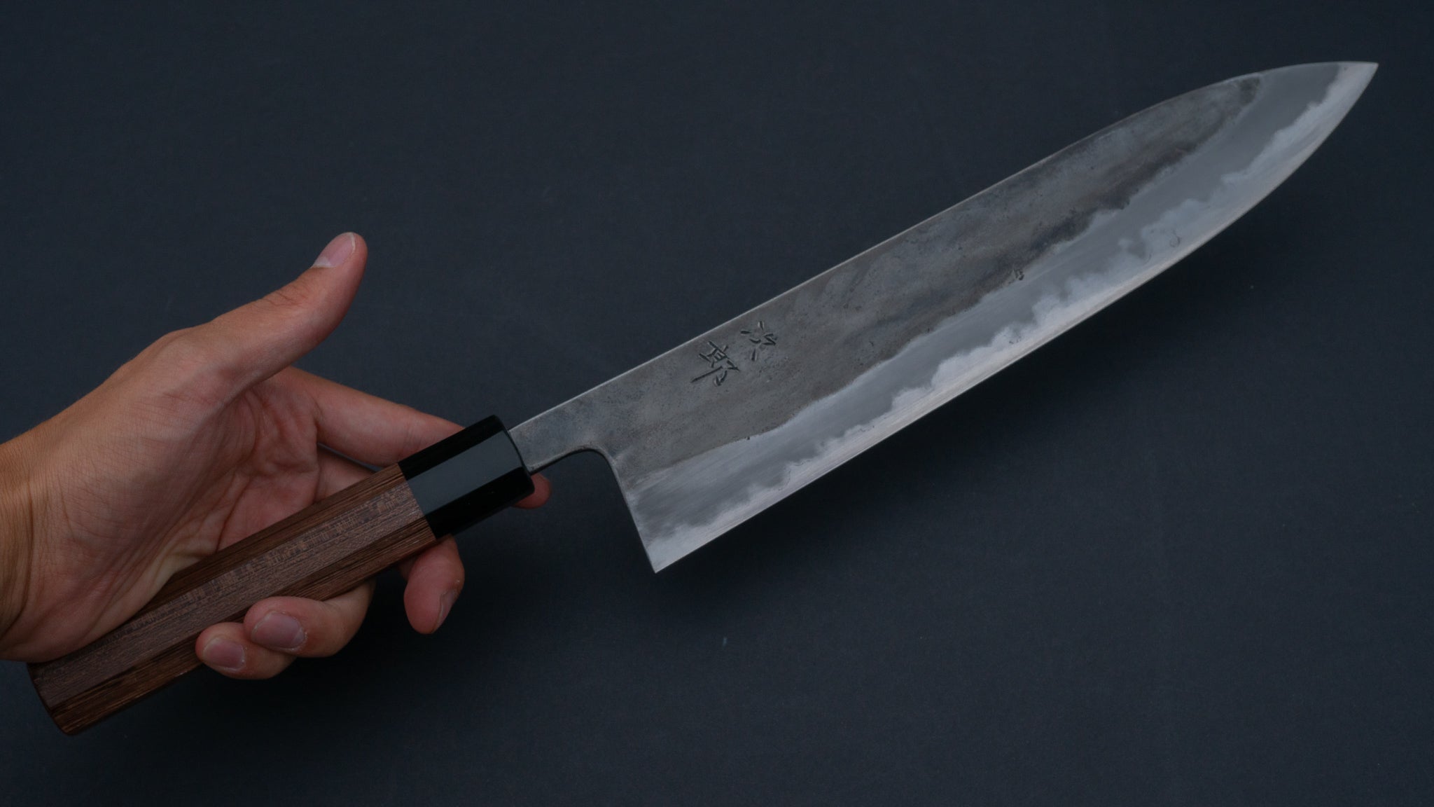 Premium Jiro Tsuchime Wa Gyuto 270mm Japanese Chef Knife with Taihei Tagayasan Handle (#048) - Perfect for Professional Chefs & Home Cooking Enthusiasts