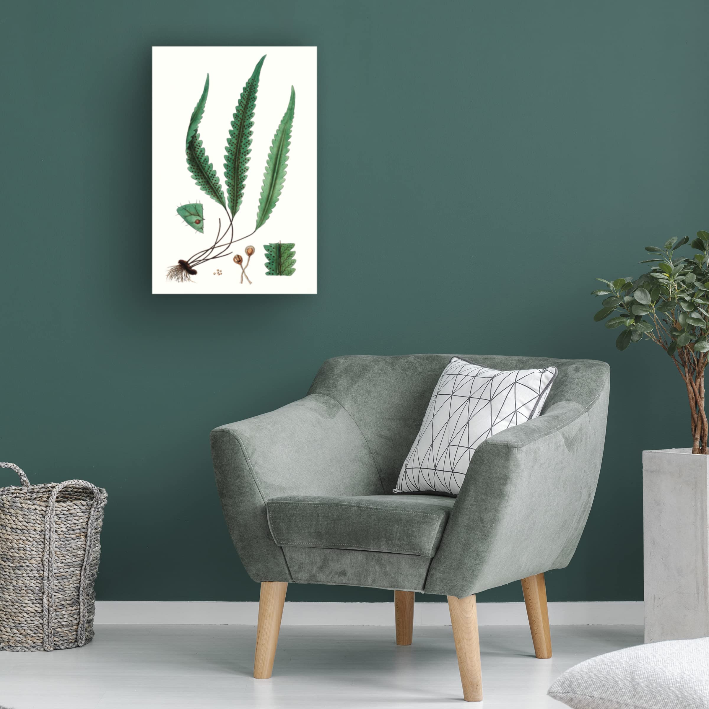 Trademark Fine Art 'Fern Foliage V' Canvas Wall Art Print by Vision Studio - Nature Inspired Botanical Decor for Living Room, Bedroom & Office