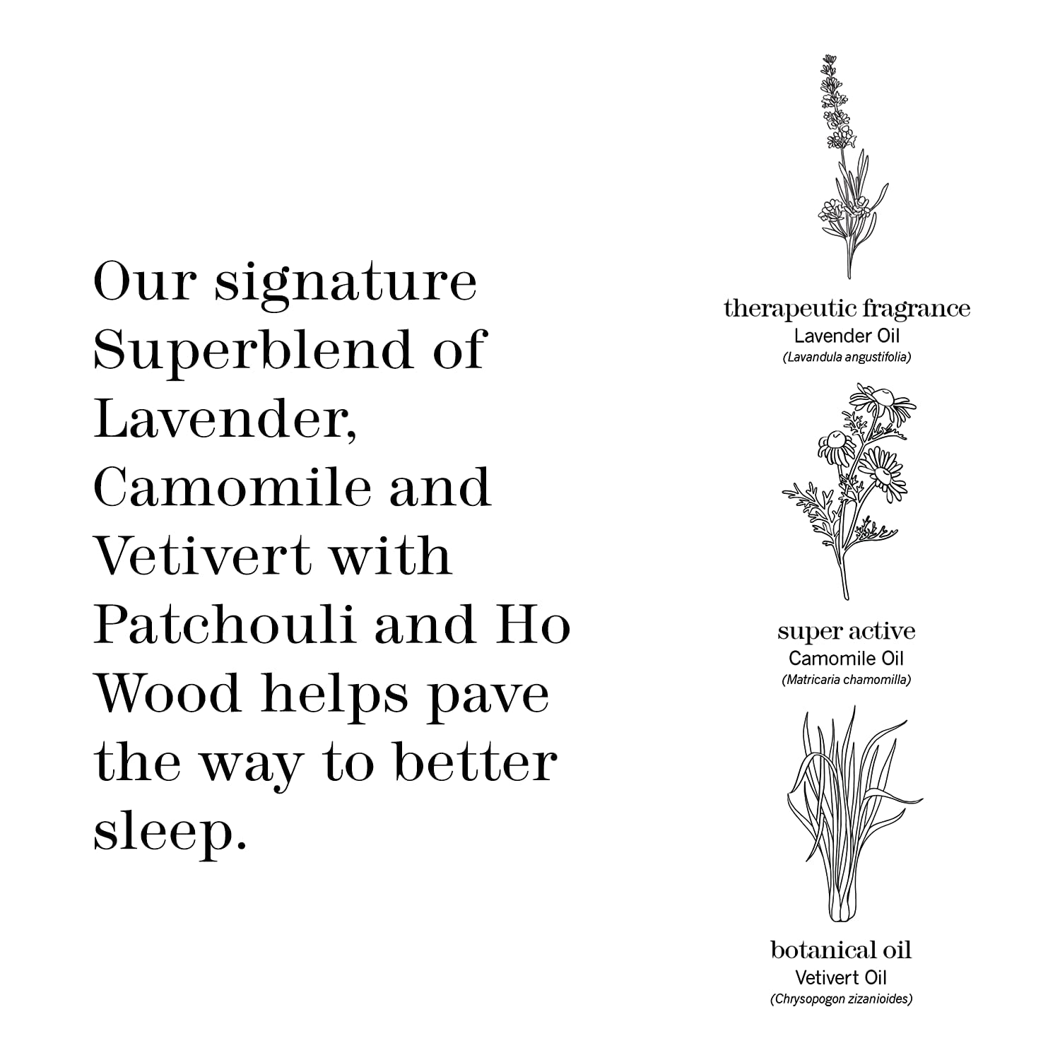This Works Deep Sleep Night Oil – Non-Greasy Body Oil with Lavender, Chamomile & Vetivert Essential Oils Blend (120ml) – Relaxing Aromatherapy for Stress Relief & Better Sleep