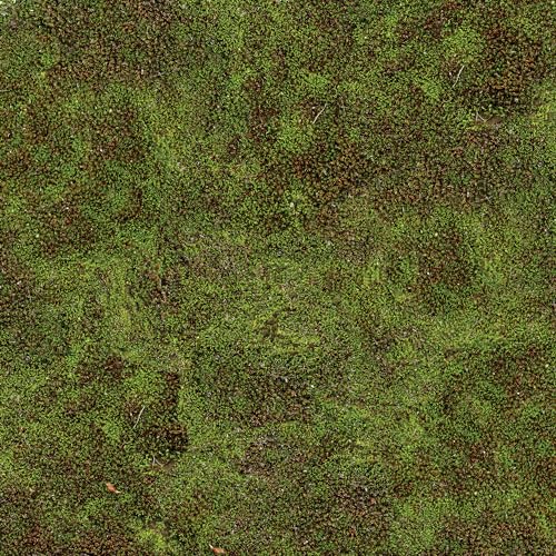 Dark Moss