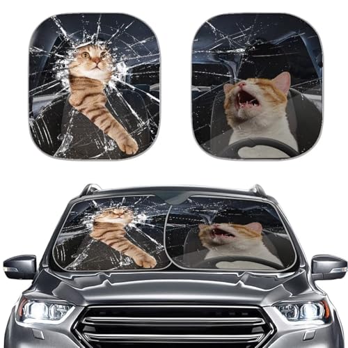 Angry Cat Print