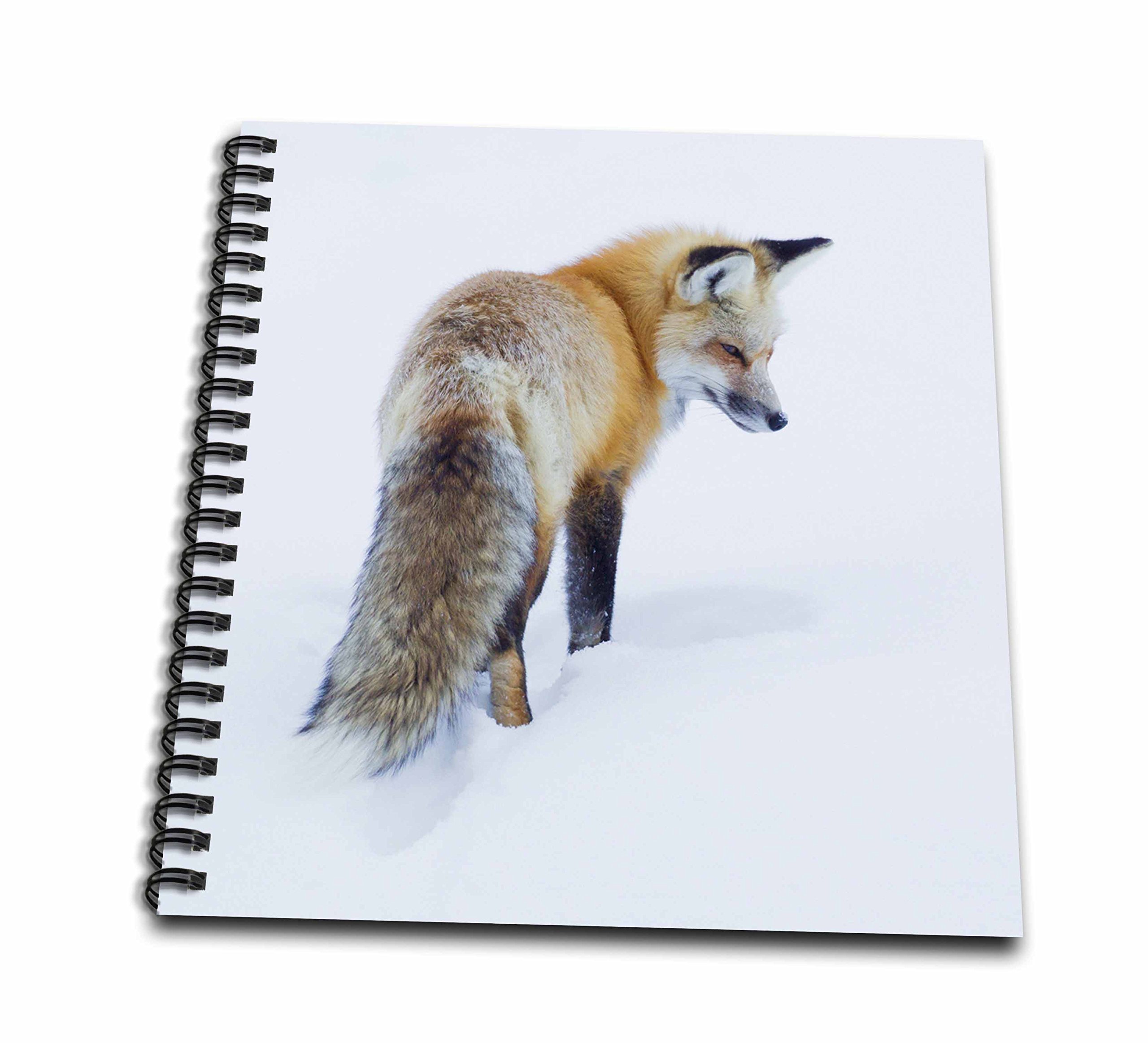 3D Rose Red Fox in Winter Drawing Book - Premium Sketchbook for Artists, Adults & Kids - Perfect for Sketching, Doodling & Coloring - Ideal Gift for Art Lovers & Beginners