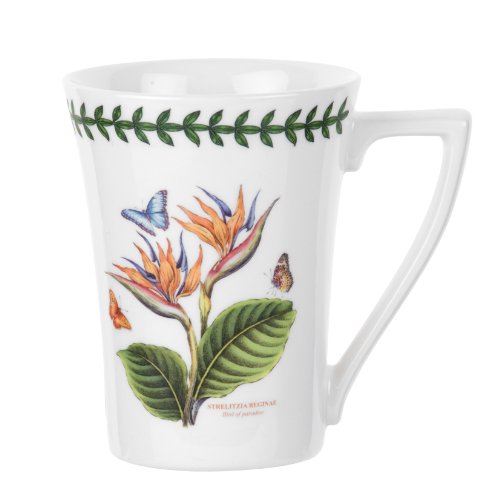 Bird of Paradise