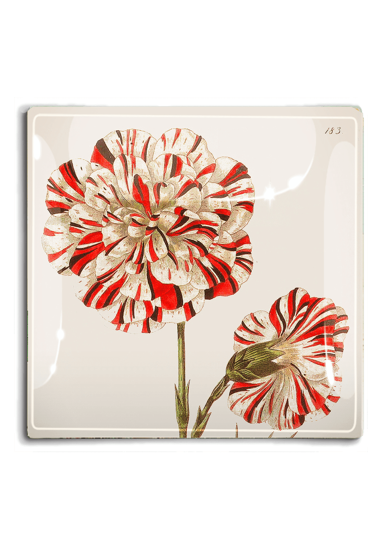 Winter Blossom Christmas Decoupage Glass Tray - Elegant Holiday Serving Tray for Festive Decor, Gift Wrapping & Cookie Display