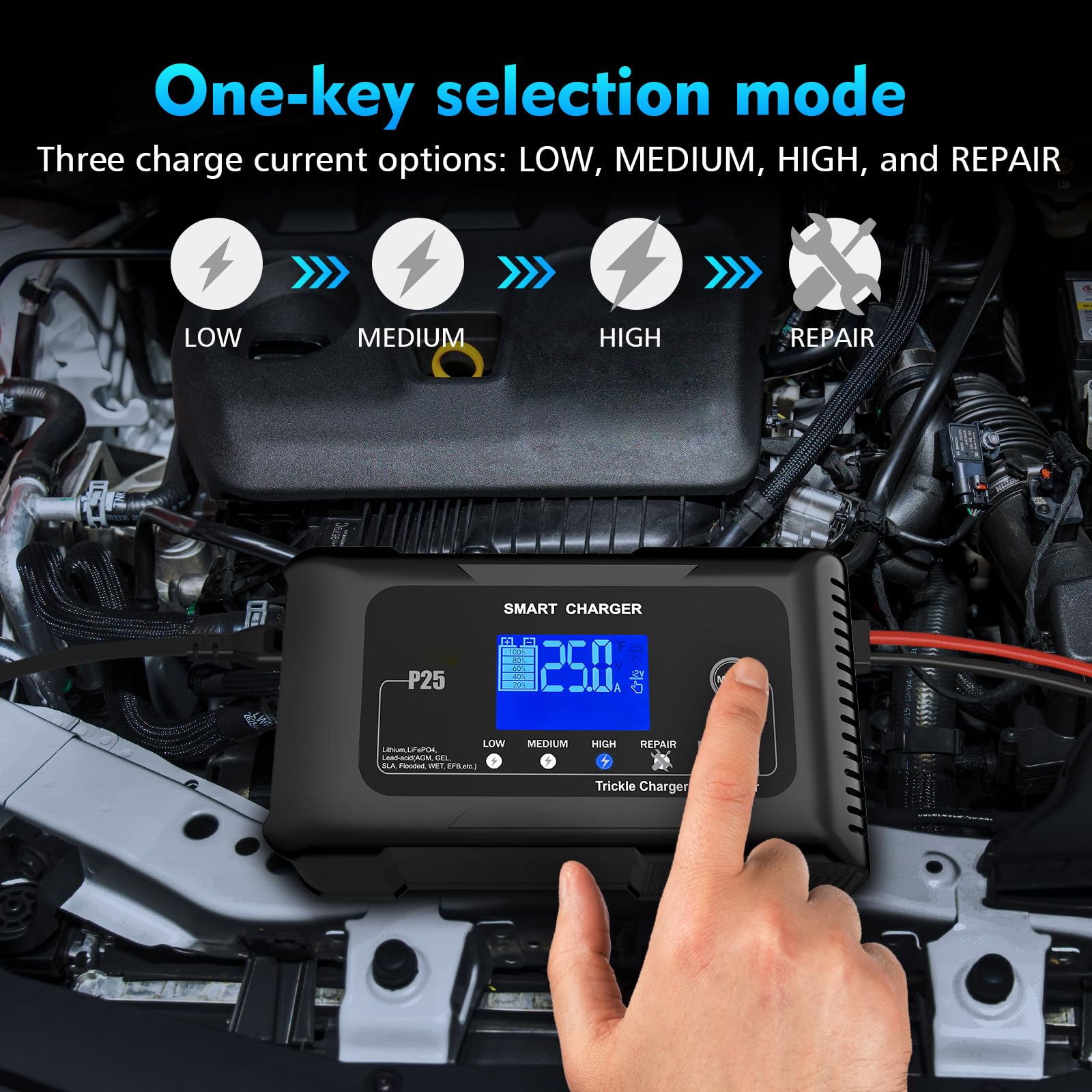 25Amp 12V/24V Lithium Battery Charger for Lifepo4 & Lead Acid (AGM/Gel/SLA) - High Power Fast Charger & Trickle Maintainer for Car, Boat, Motorcycle - Perfect for RV, Marine, ATV & Off-Grid Power Supply