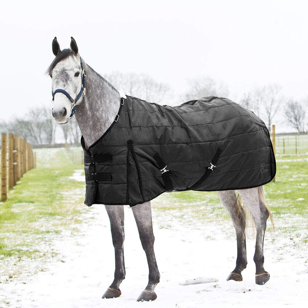 HORZE Nevada Medium Weight 200g Stable Blanket for Horses - Perfect for Cool Weather & Indoor Riding