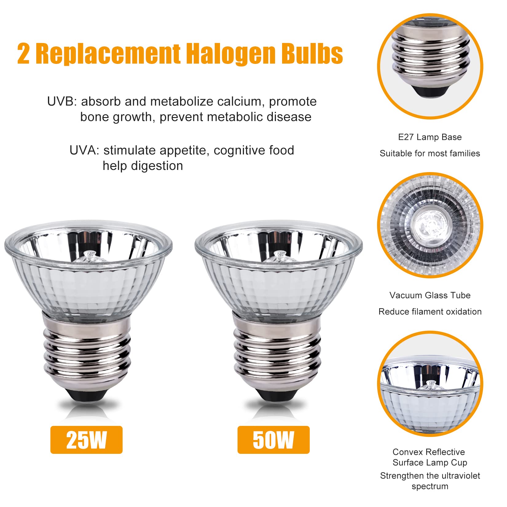 Reptile Heat Lamp Holder with Thermometer - 2 Pack 25W/50W UVA UVB Heat Bulbs for Lizards, Turtles, Snakes, Chickens - E26 Base 110V Replacement Bulbs for Terrariums & Reptile Habitats - Perfect for Basking, Warming & UV Lighting Needs