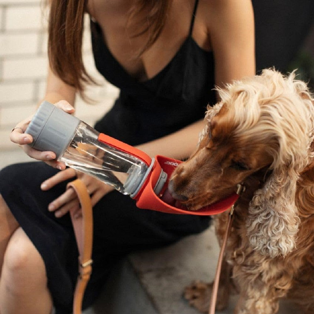 Portable 3-in-1 Leaf Water Bottle Pro - Insulated Stainless Steel Tumbler for Hot & Cold Drinks - Perfect for Hiking, Gym & Outdoor Activities