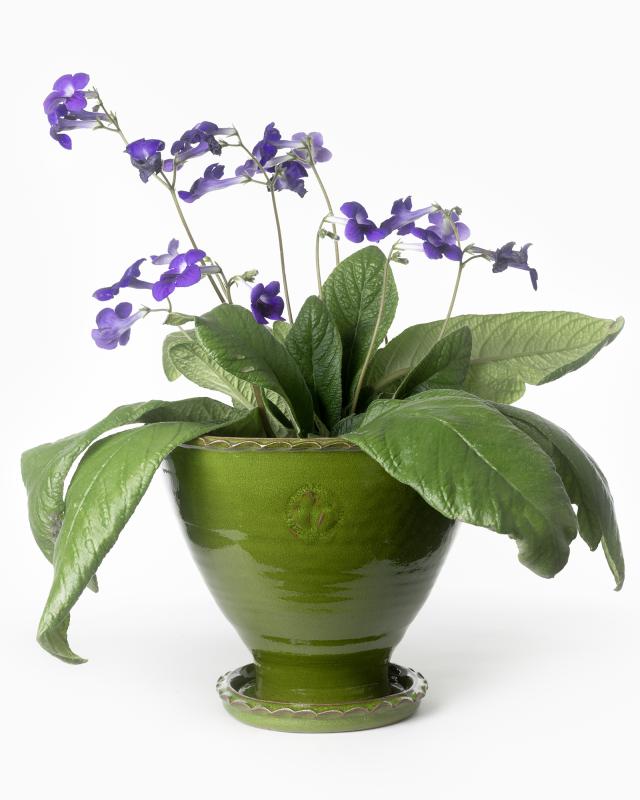 Kruka Sturehof Adelcrantz 24cm Green Ceramic Flower Pot - Perfect for Indoor Plants, Succulents & Home Decor