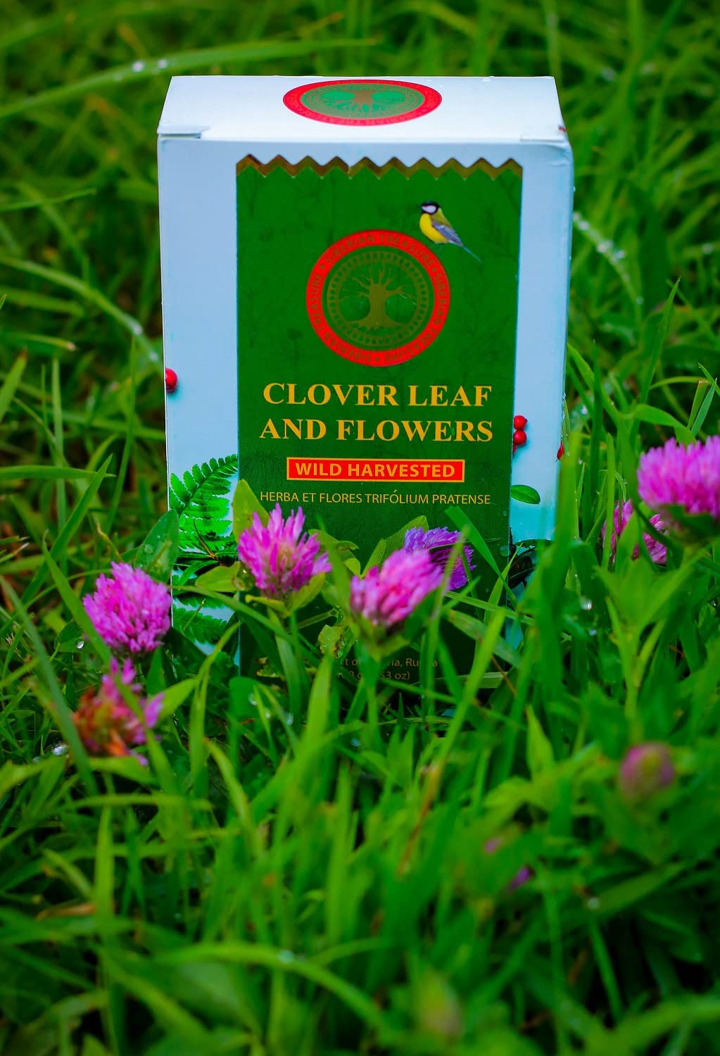 Organic Siberian Clover Leaf & Flowers Tea - 3.53oz (100g) Herbal Tea for Detox & Relaxation | Perfect for Afternoon Tea Time, Stress Relief & Wellness Rituals