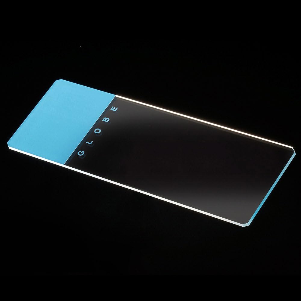 Globe Scientific 1324B Glass Microscope Slides - 25x75mm, Ground Edges with Safety Corners, Blue Frosted (1,440 Slides) - Perfect for Lab Research, Classroom Education & Scientific Experiments