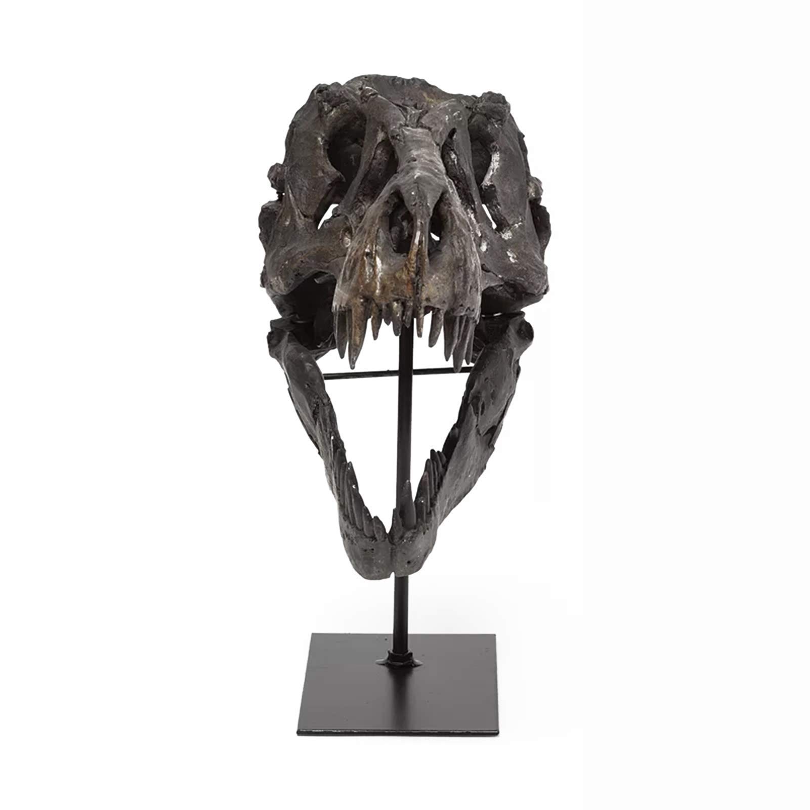 Gothic Dinosaur Skull Statue - Resin Home Decor Sculpture for Living Room, Office, TV Cabinet & Wine Bar | Unique Halloween, Birthday Gift for Dinosaur Lovers & Gothic Decor Enthusiasts | Perfect for Dark Academia Theme & Man Cave Decor