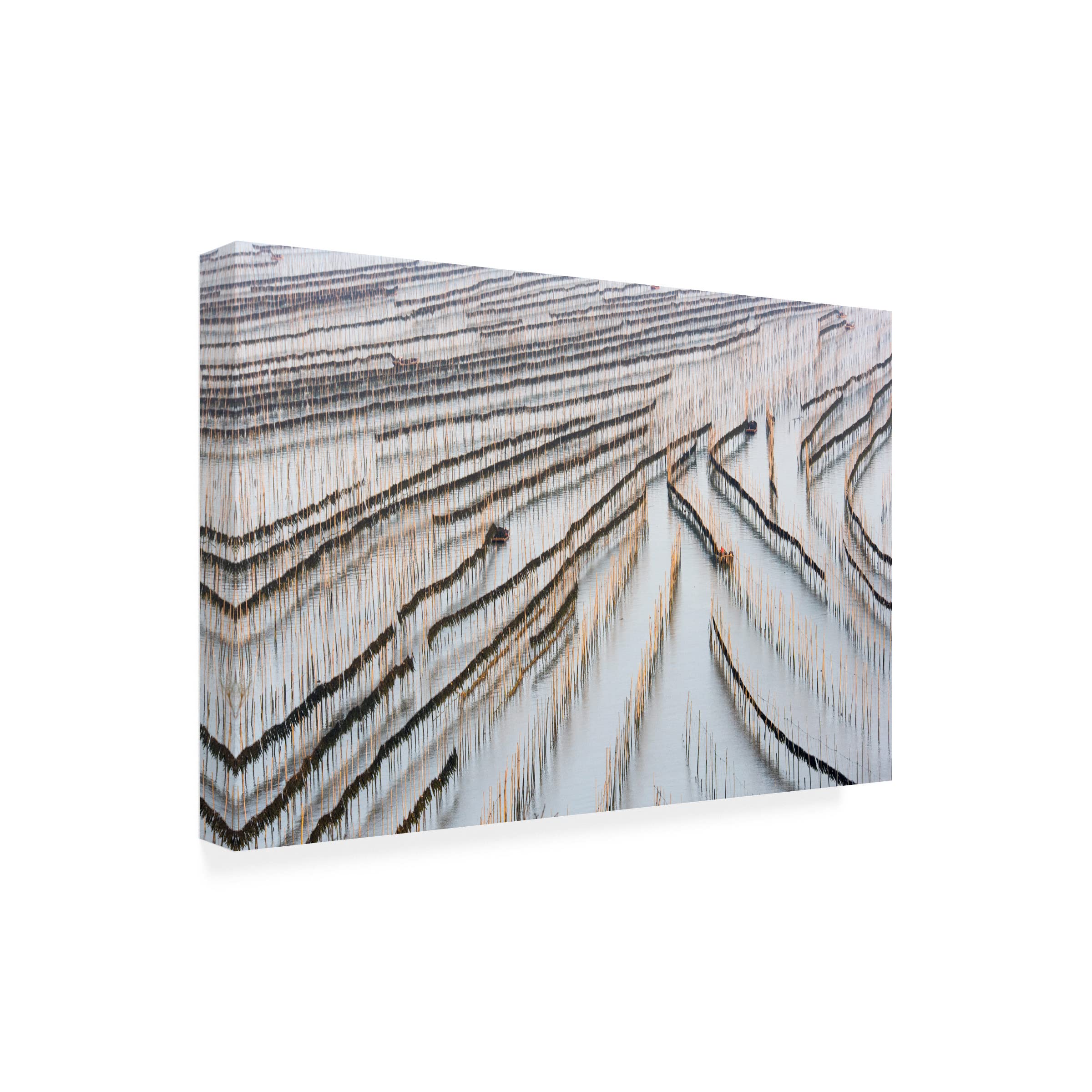 Trademark Fine Art 'Harvesting Kelp' Canvas Wall Art Print by Xinhua Zhou - Coastal Home Decor for Living Room, Bedroom & Office