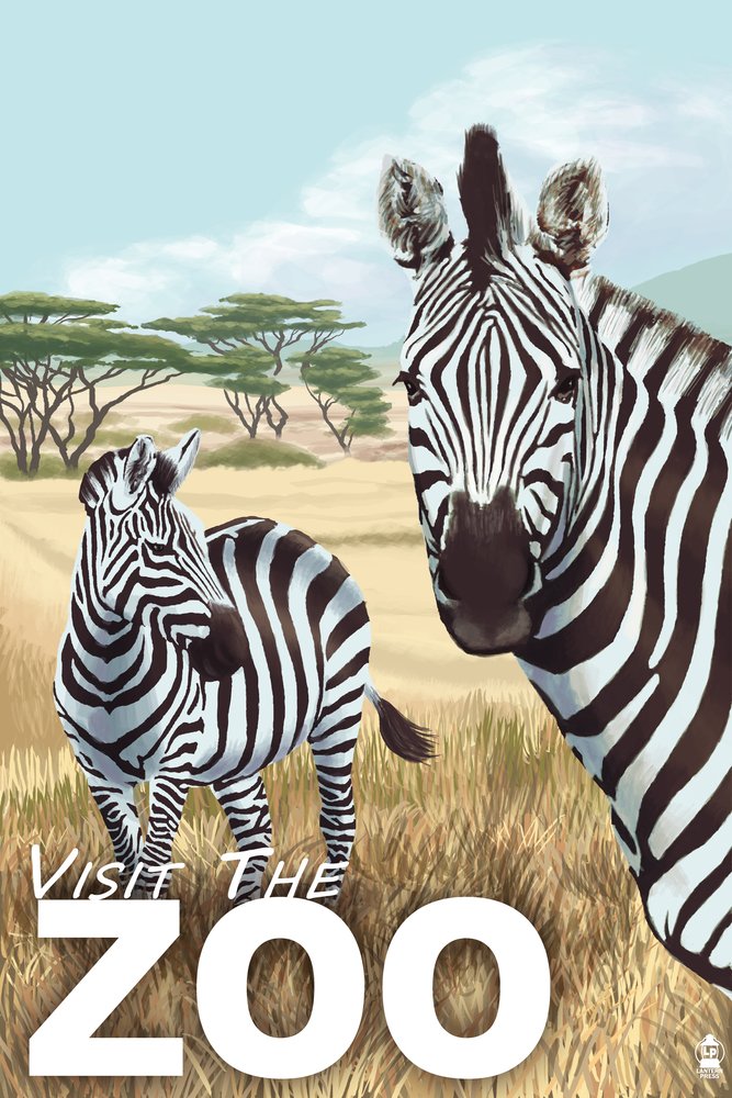 Zebra Scene Giclee Gallery Print - 16x24 Wall Art Decor, African Safari Travel Poster for Living Room, Office & Nursery