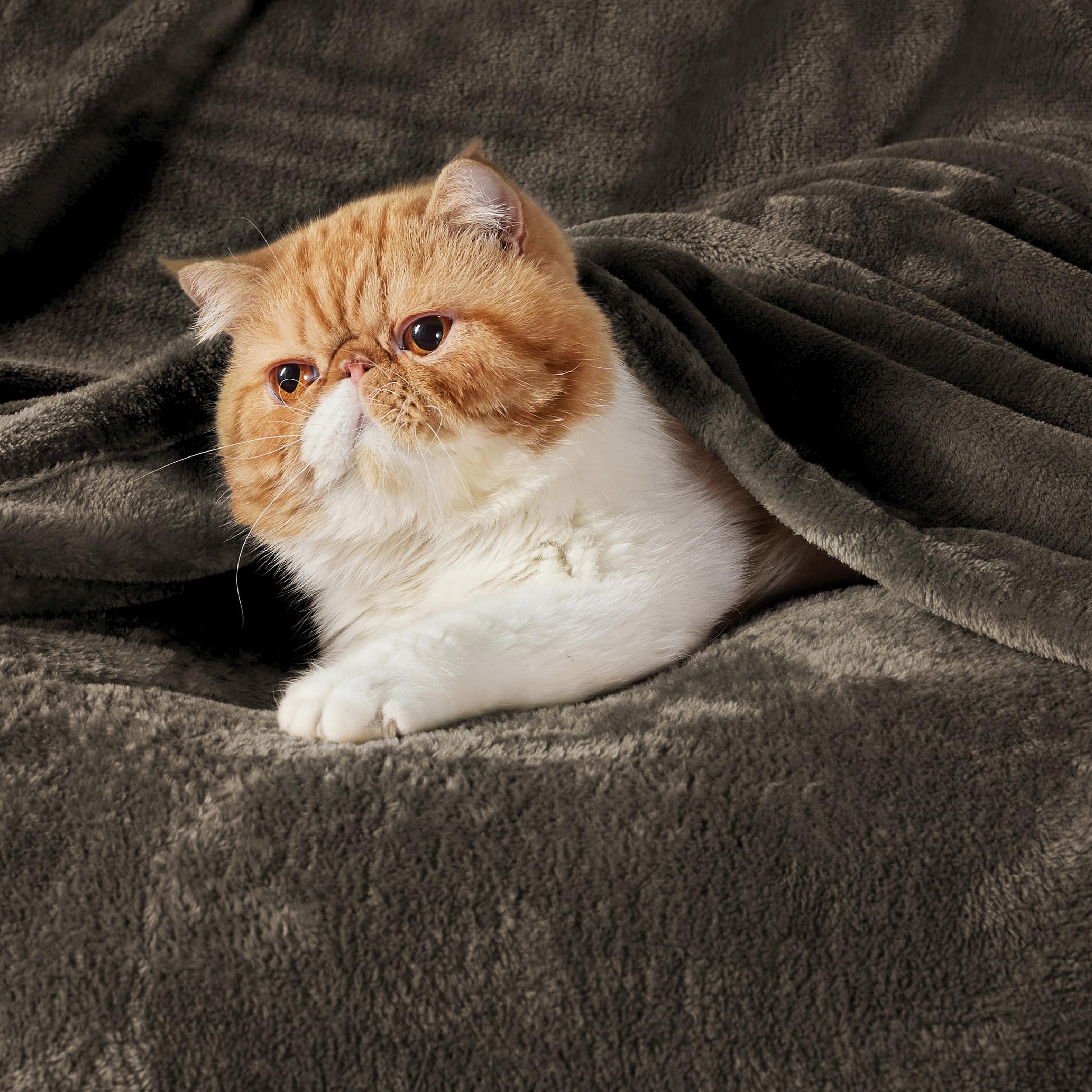Bedsure King Size Brown Fleece Blanket - Ultra Soft, Lightweight, Plush & Cozy Microfiber Blanket (108x90 Inches) for Bed, Couch, Sofa, and Home Decor - Perfect for Winter, Fall, and Gift Giving