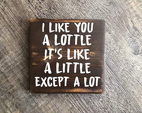 Wooden Hanging Sign 'I Like You a Lottle' 5.5x5.5 Inch - Farmhouse Home Decor, Unframed Wall Art for Kitchen, Office, Bar - Perfect for Housewarming Gifts & Rustic Home Decoration