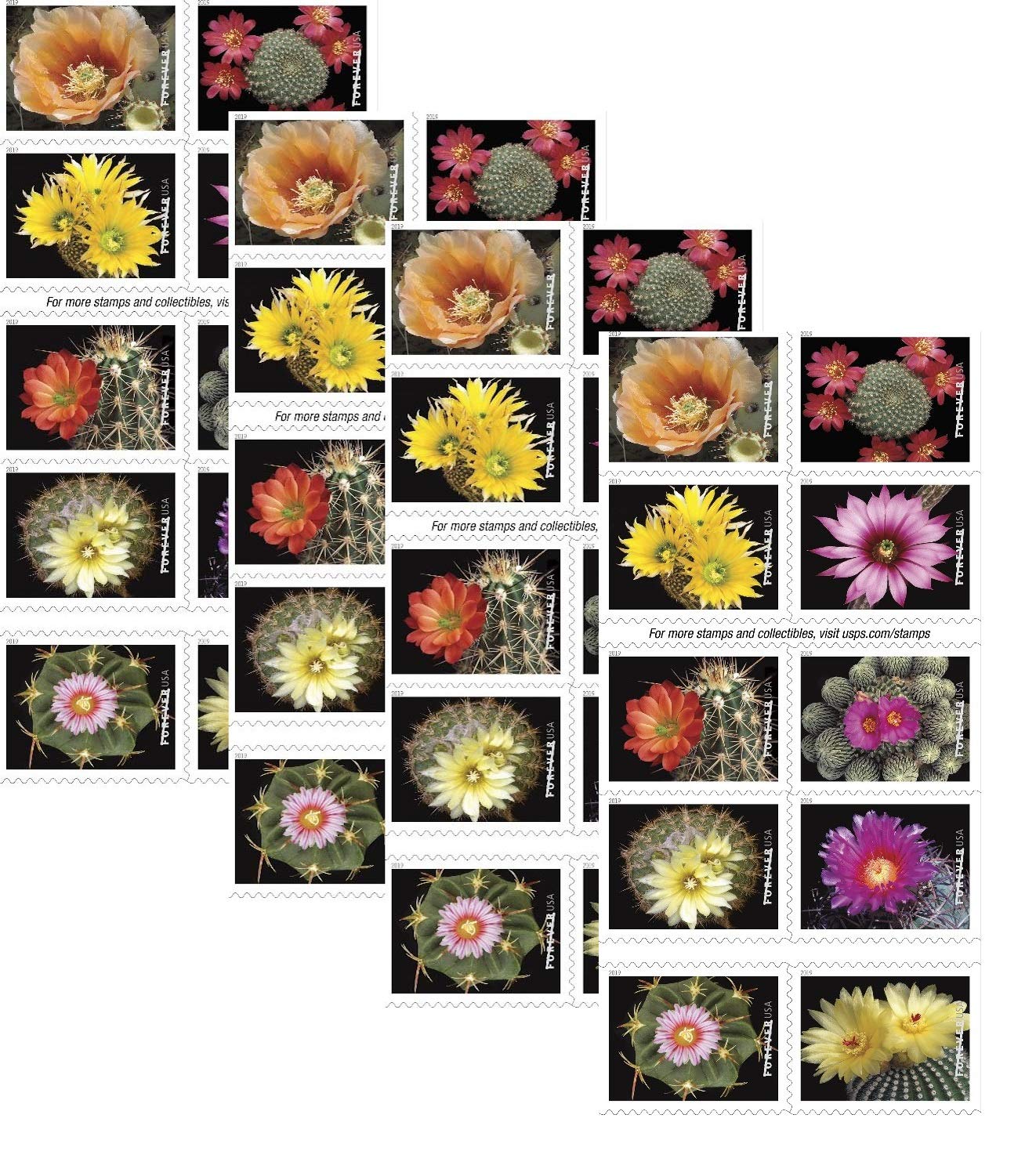 Cactus Flowers Forever Postage Stamps (4 Sheets) - Vintage Botanical Stamps for Scrapbooking, Card Making & Collectors | USPS Approved Decorative Postage