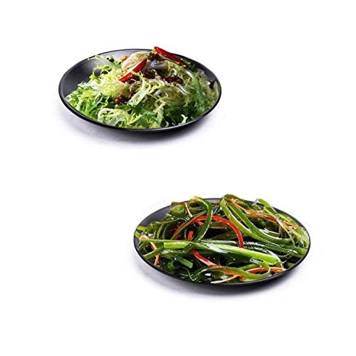 Premium Melamine Dinner Plates - 8 Inch Black Set of 3 | Lightweight & Durable Dishware for Outdoor Picnics, Camping, and Everyday Use