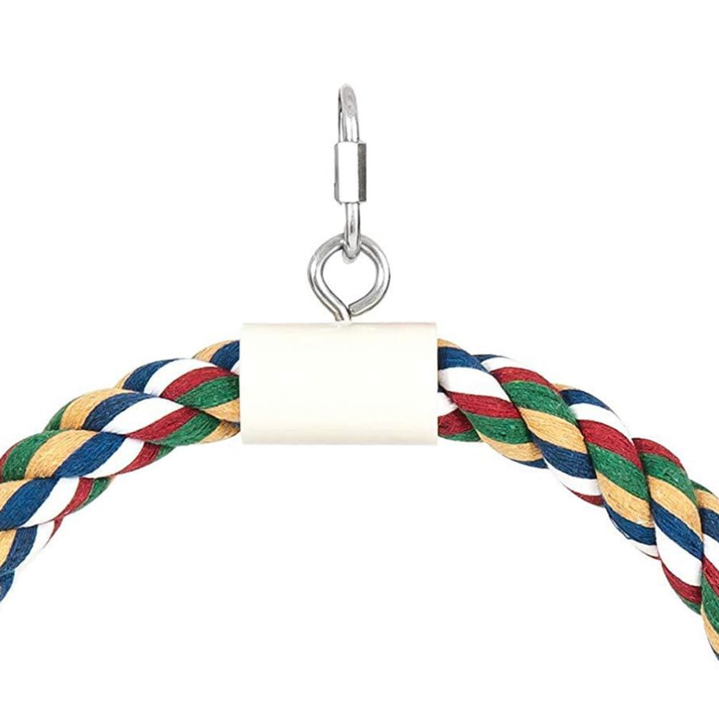 Balacoo Parrot Toys - Bird Cage Climbing & Biting Toys for Conures, Parakeets, Long Tail Birds - Cotton Rope Swing & Bungee Cord Accessories - Perfect for Playtime & Exercise in Bird Cages