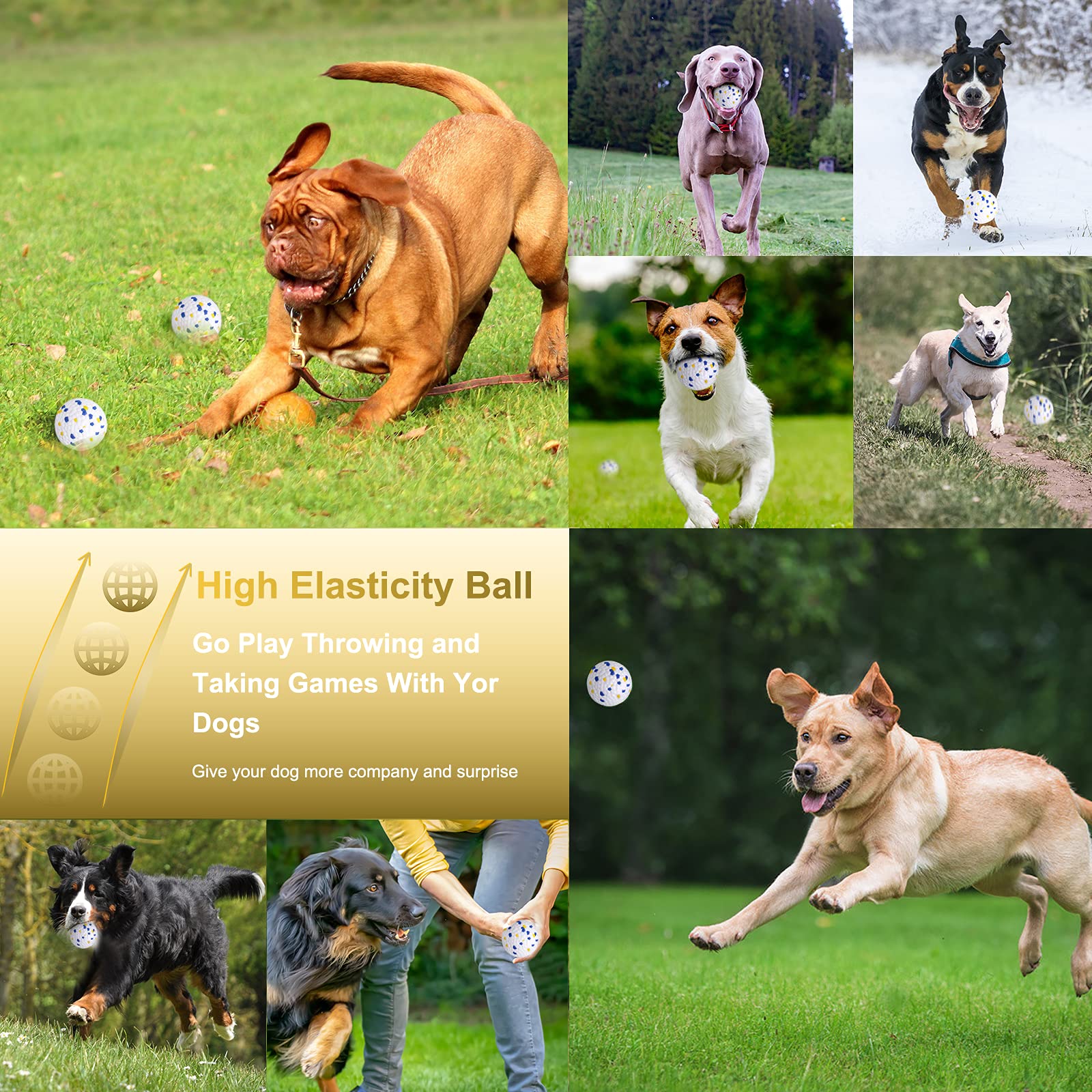 Durable Interactive Dog Ball Toy for Medium & Large Dogs – Aggressive Chewer Proof, Training & Exercise Chew Toy – Blue & Yellow Molar Balls (3-Pack) – Perfect for Fetch, Training & Dental Health