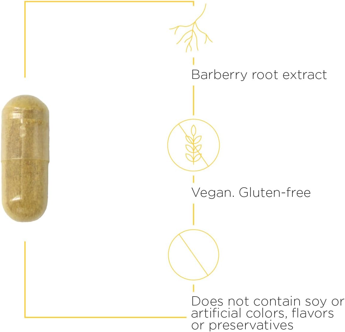 Integrative Therapeutics Berberine Complex Supplement - Supports Healthy Blood Sugar & Digestion - Ideal for Daily Wellness & Metabolic Health