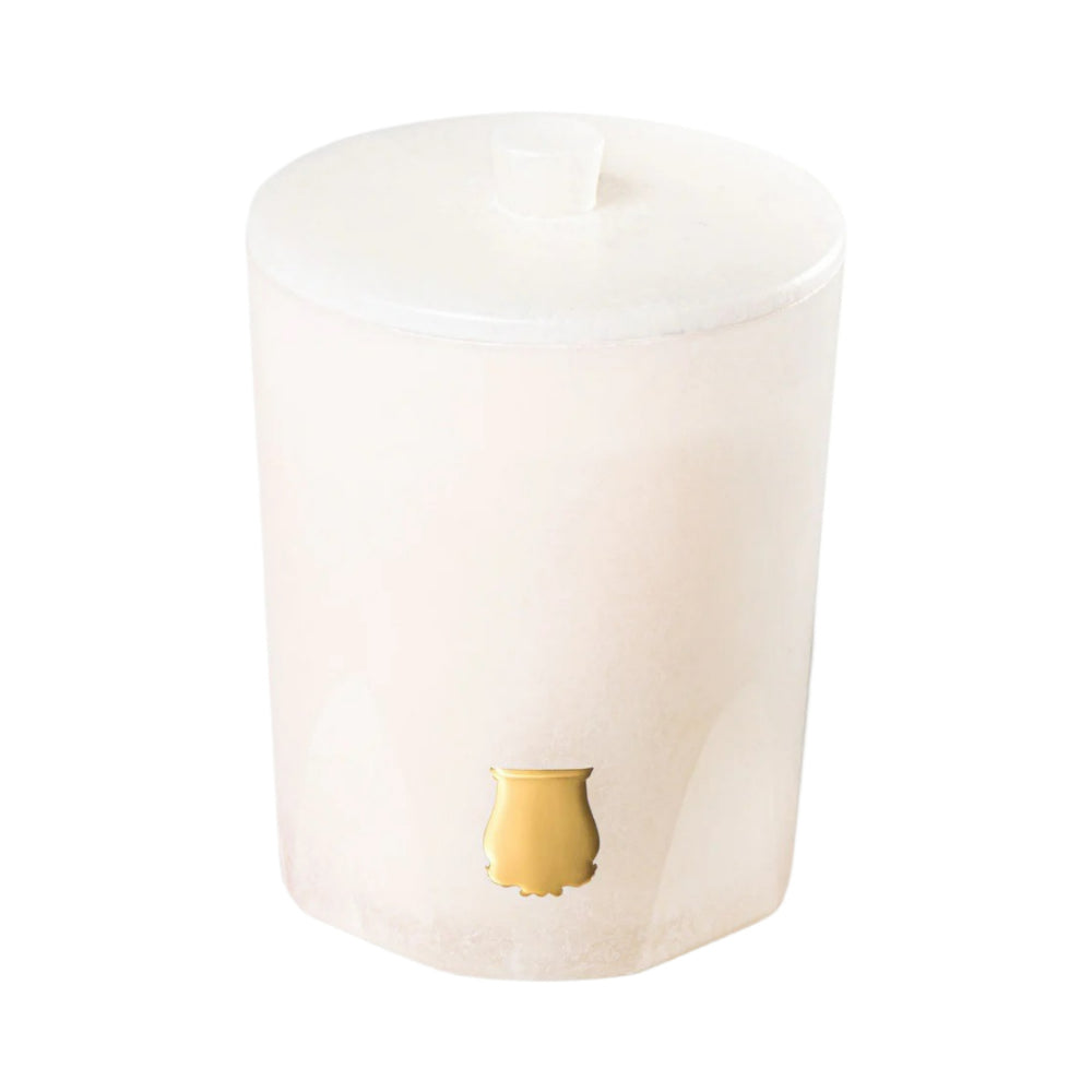 Premium Alabaster Ernesto Scented Candle 270g - Handmade Soy Wax Candle for Home Decor, Aromatherapy & Romantic Ambiance