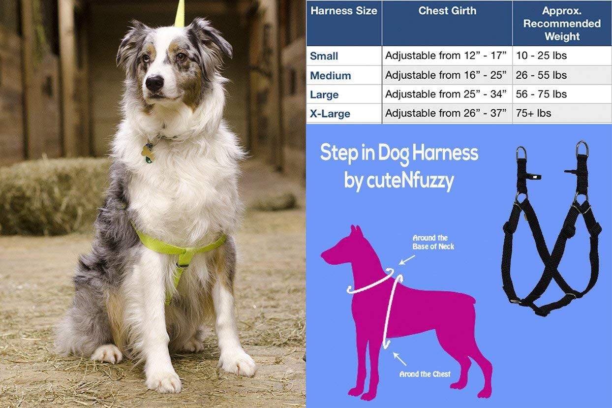 Step-in Dog Harness for Small Dogs - Adjustable Pink Pet Harness with Soft Padding | Perfect for Walking, Training & Outdoor Adventures