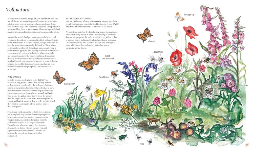 Isabella Tree: Wilding - Illustrated by Angela Harding | Nature Conservation Book for Eco-Friendly Living & Wildlife Enthusiasts