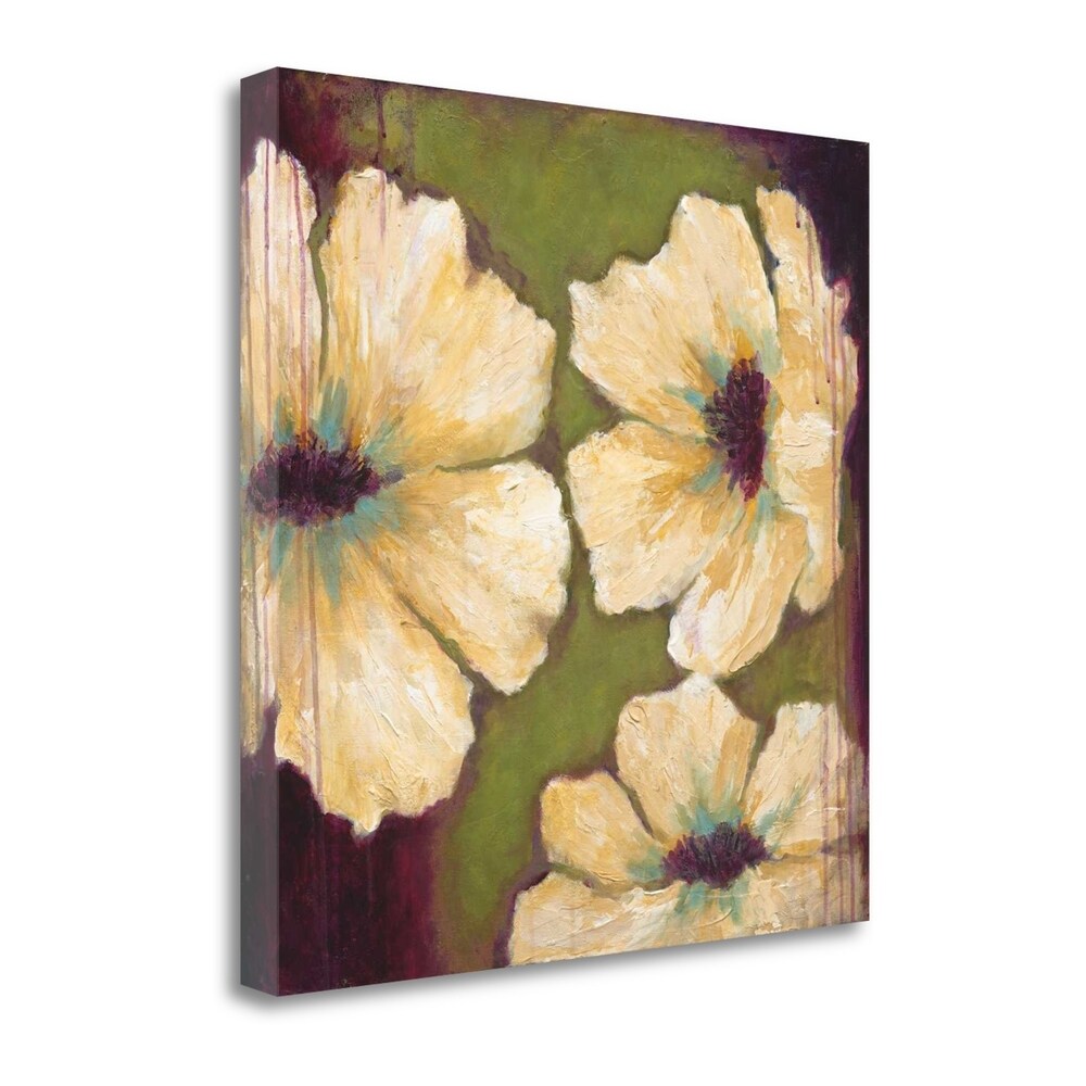Blooms II By Wani Pasion - Premium Giclee Art Print on Gallery Wrapped Canvas, Ready to Hang Wall Decor for Living Room, Bedroom & Office