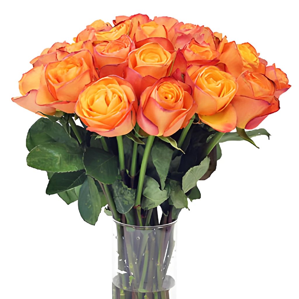 Aurora Rose - Elegant Artificial Silk Rose Bouquet for Home Decor, Weddings, and Special Events | Perfect for Centerpieces, Gifts, and Romantic Occasions