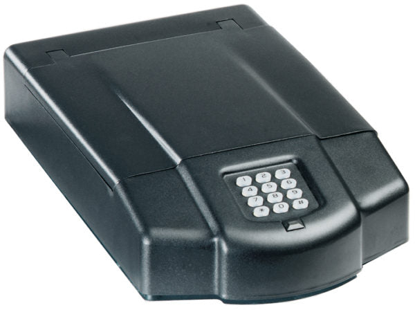 FireKing EX0915 Executive Handgun Safe - Biometric Fingerprint & Keypad Security for Pistols - Compact Home & Office Gun Safe for Personal Protection & Quick Access