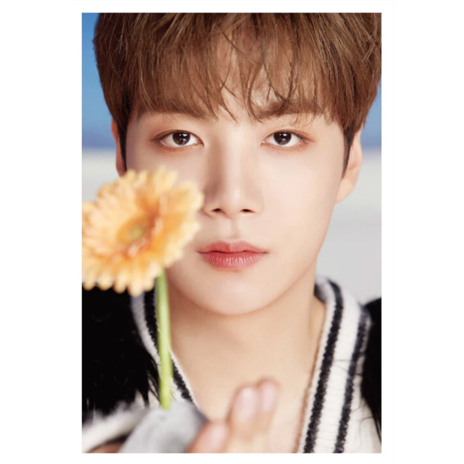 NU'EST DICON D'FESTA 'NU'EST : DISPATCH 10TH ANNIVERSARY' Photobook - K-Pop Collectible Memorabilia for Fans, Gift for NU'EST Lovers, Perfect for Display and Photo Album Collections