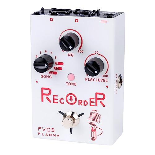 FV05 Vocal Looper
