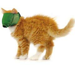 Quick Cat Muzzle Small Size - Breathable Soft Mesh Pet Muzzle for Grooming, Vet Visits & Nail Trimming - Green Color for Cats & Small Dogs