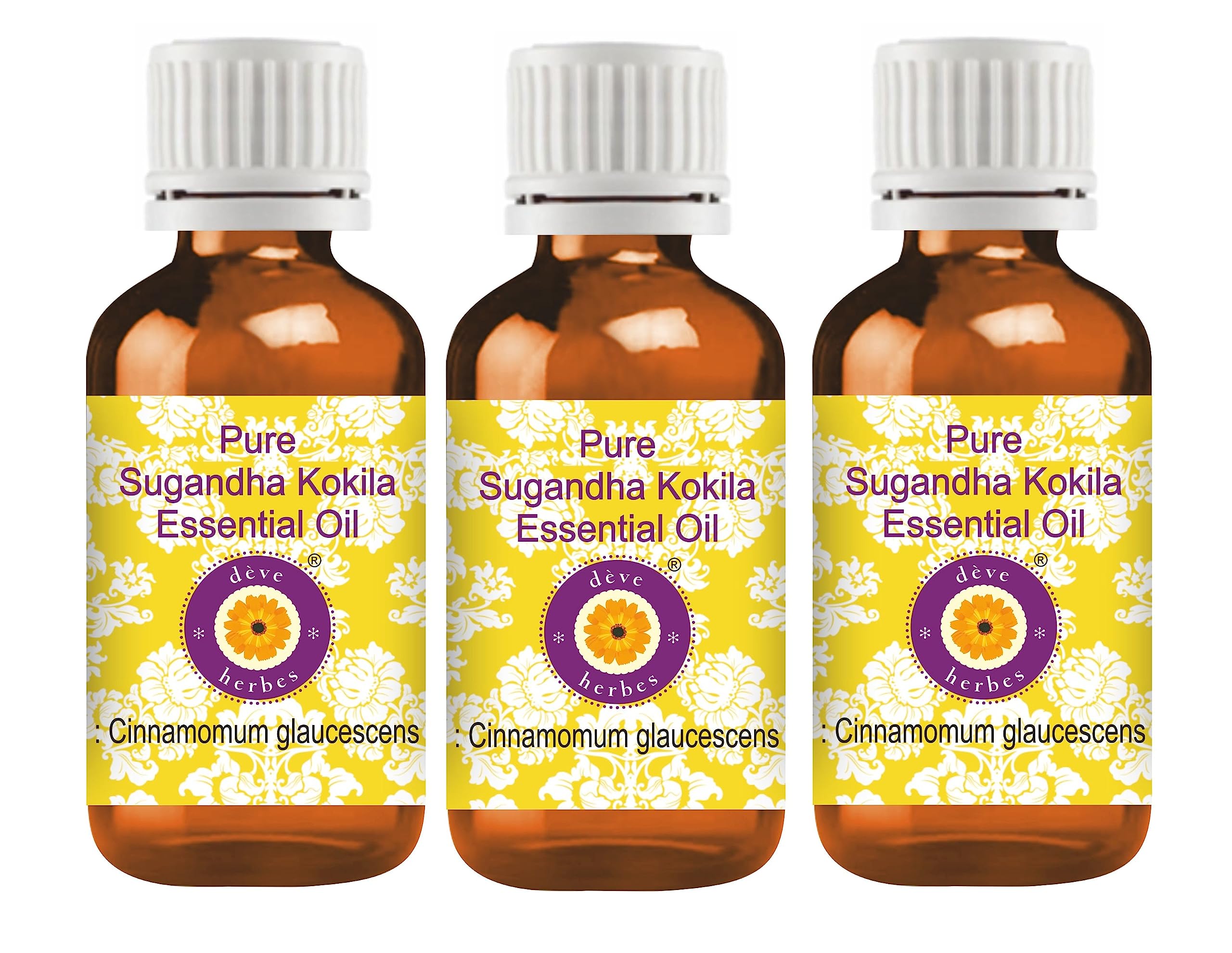 Pure Sugandha Kokila Essential Oil (Cinnamomum glaucescens) - 100% Natural Steam Distilled - 3-Pack (10 oz Total) for Aromatherapy, Massage & Relaxation - Perfect for Diffusers, DIY Skincare & Home Spa