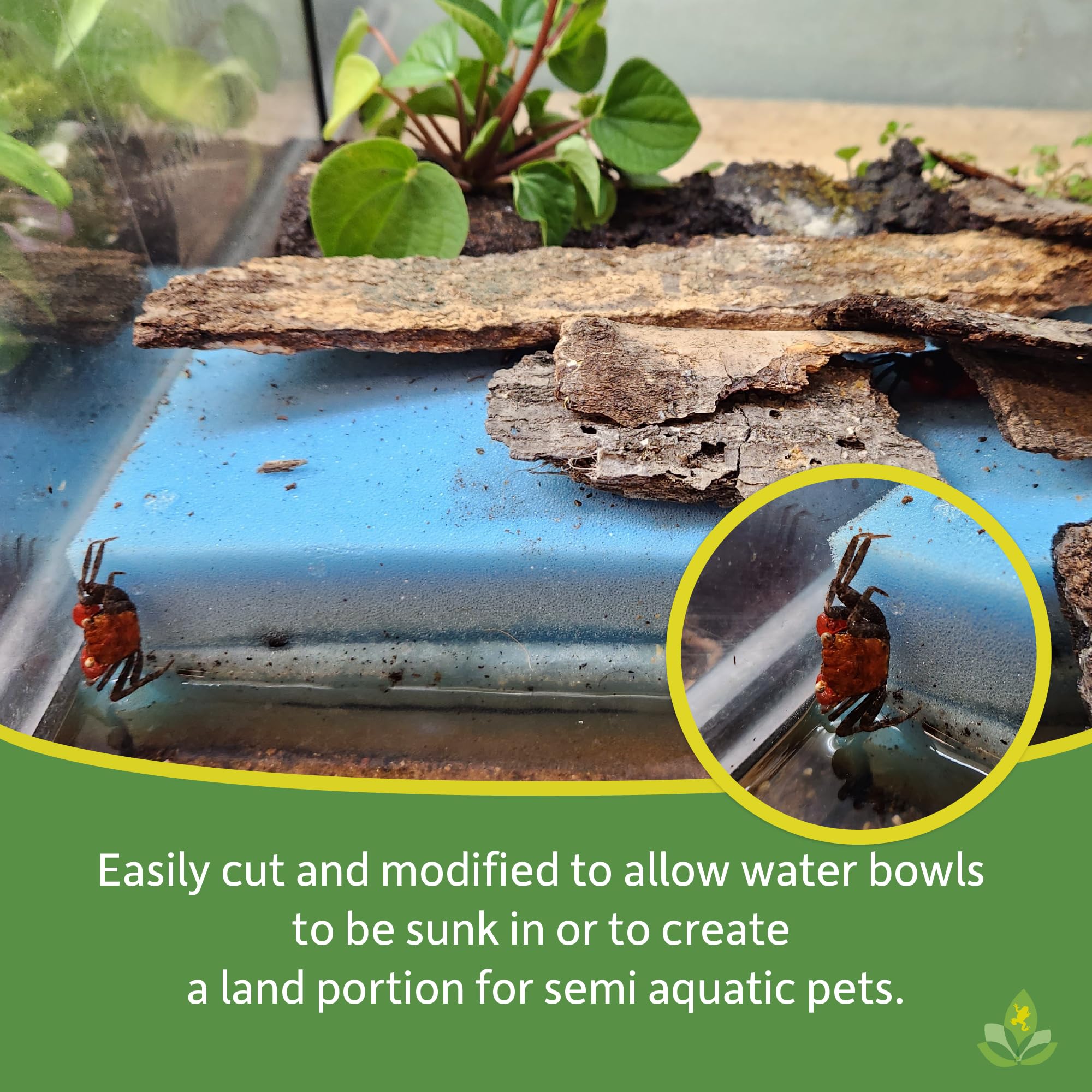 Premium Josh's Frogs Terrarium Liner - 12x12 Inch Frog Foam Substrate for Glass Vivariums | Ideal for Amphibian Habitats, Reptile Tanks & Bioactive Enclosures