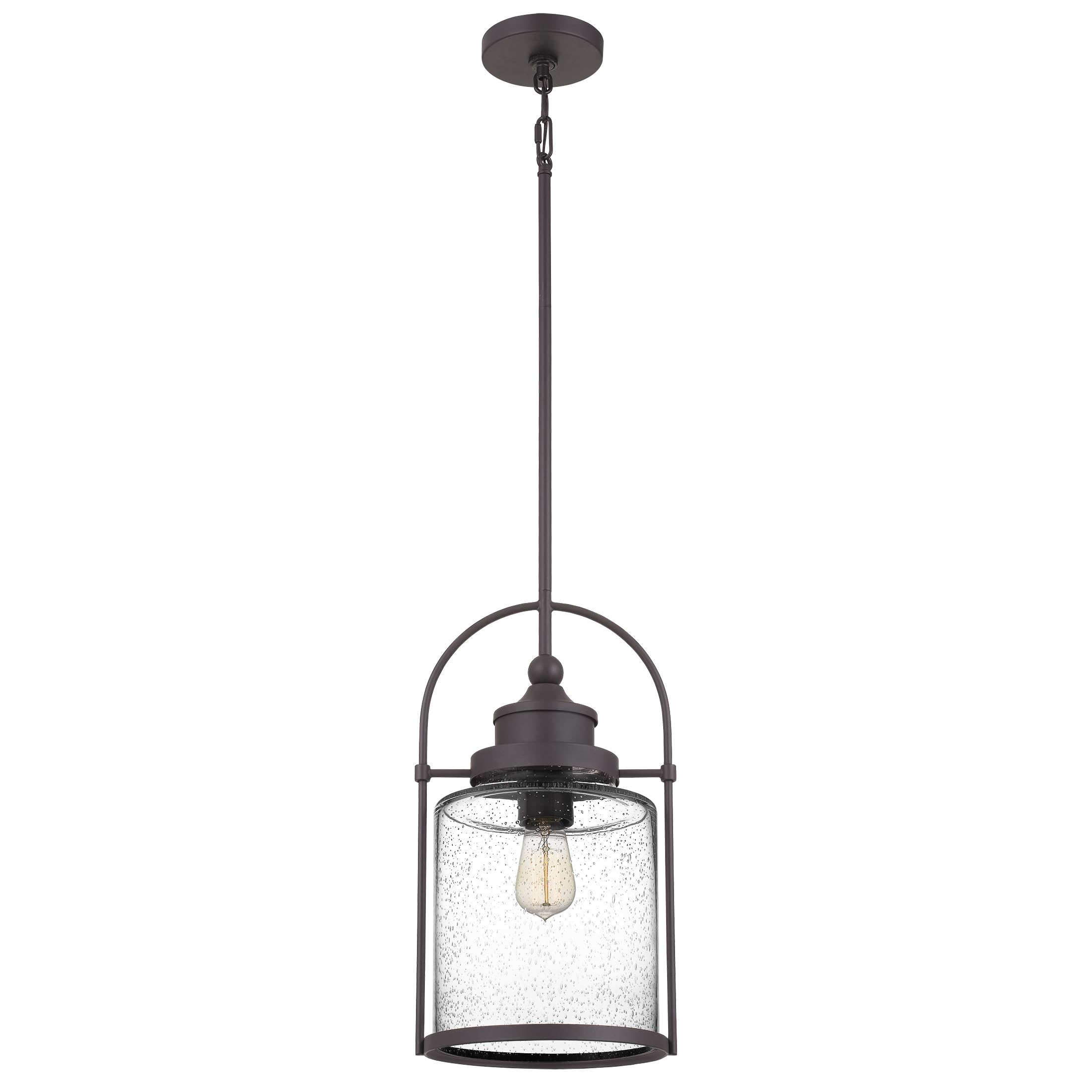 Quoizel Payson Mini Pendant Light - 10 Inch Western Bronze with Clear Seeded Glass - 1-Light Ceiling Fixture (Max 59